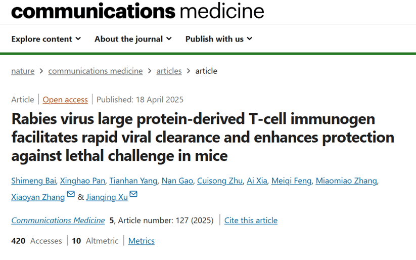 Rabies virus large protein-derived T-cell immunogen facilitates rapid viral clearance and enhances protection against lethal challenge in mice