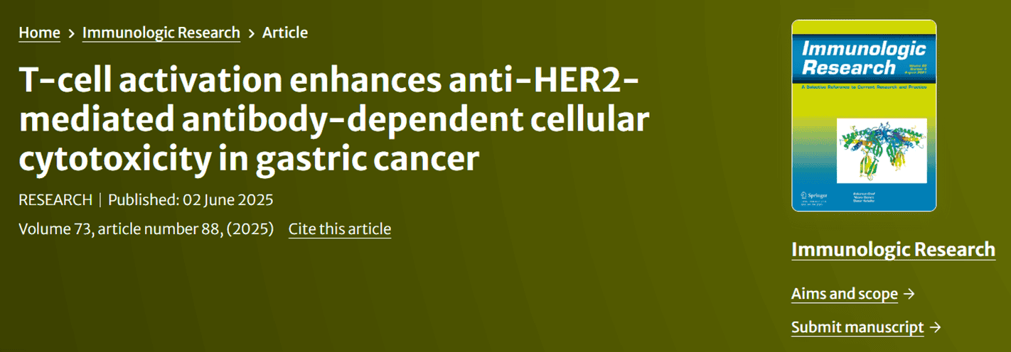 T-cell activation enhances anti-HER2-mediated antibody-dependent cellular cytotoxicity in gastric cancer
