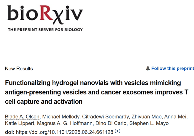 Functionalizing Hydrogel Nanovials with Vesicles Mimicking Antigen-Presenting Vesicles and Cancer Exosomes Improves T Cell Capture and Activation