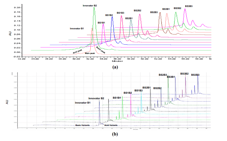 Charge heterogeneity comparison in ADA testing for biosimilars, showcasing analytical precision