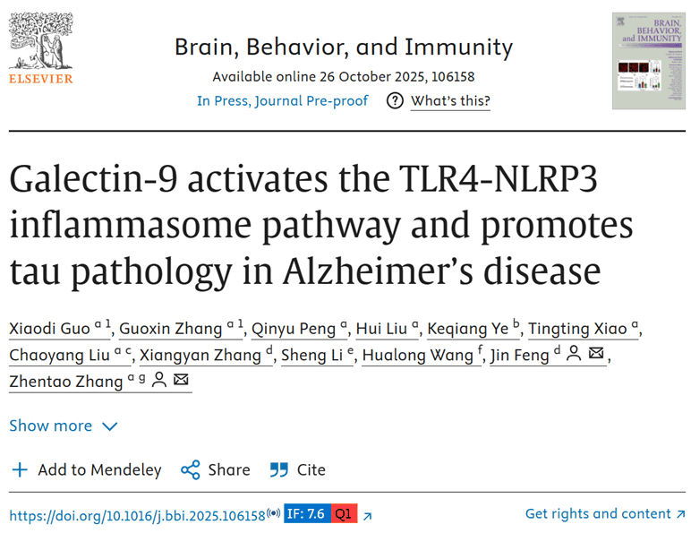 Galectin-9 activates the TLR4-NLRP3 inflammasome pathway and promotes tau pathology in Alzheimer's disease
