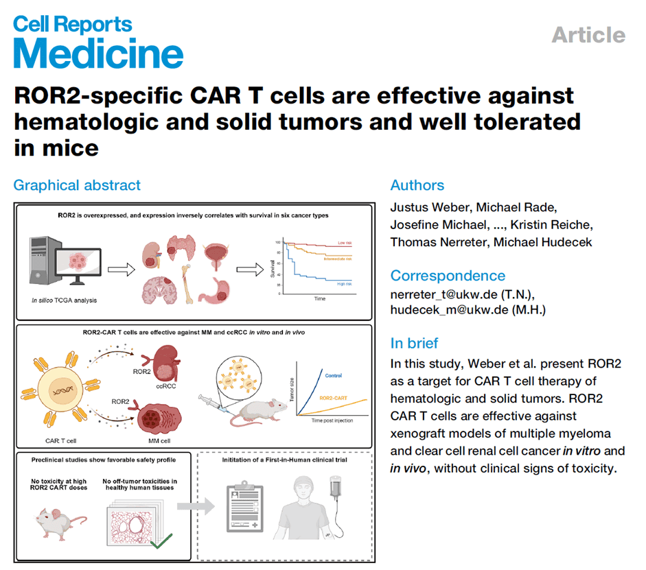 ROR2-specific CAR-T cells are effective against hematologic and solid tumors and well tolerated in mice
