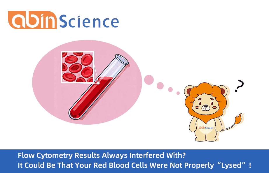 Flow Cytometry Results Always Interfered With? It Could Be That Your Red Blood Cells Were Not Properly &ldquo;Lysed&rdquo;!