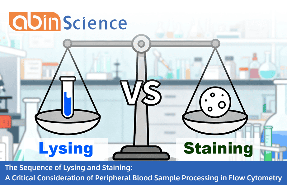 The Sequence of Lysing and Staining: A Critical Consideration of Peripheral Blood Sample Processing in Flow Cytometry