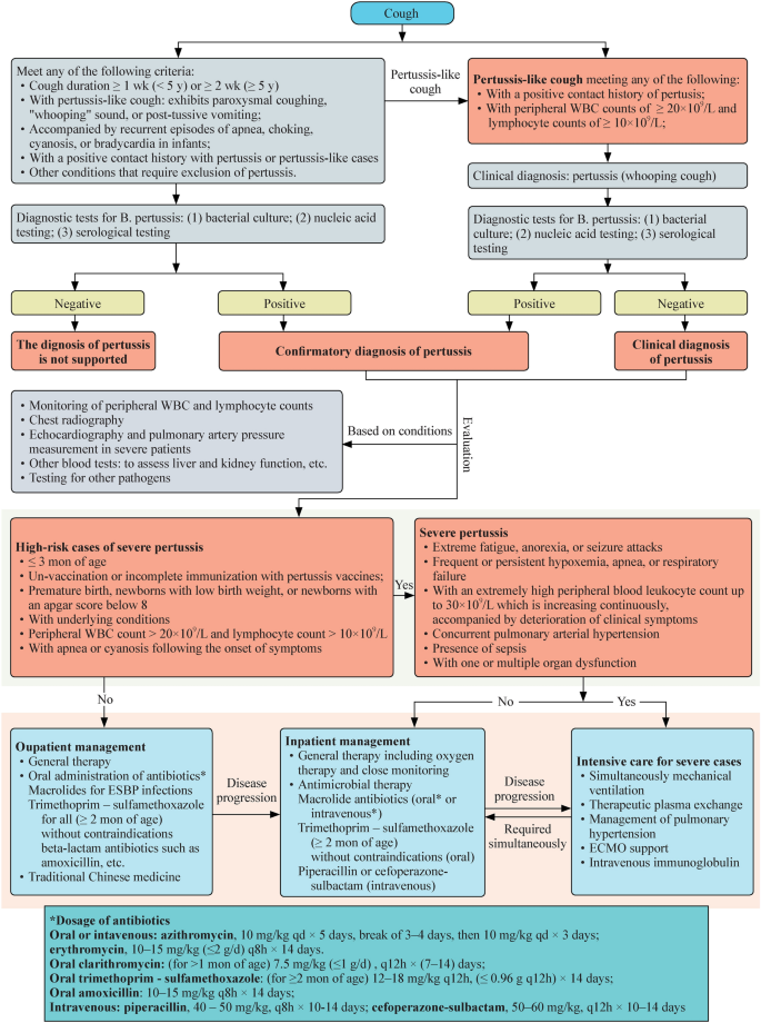 Pertussis Prevention Pathway