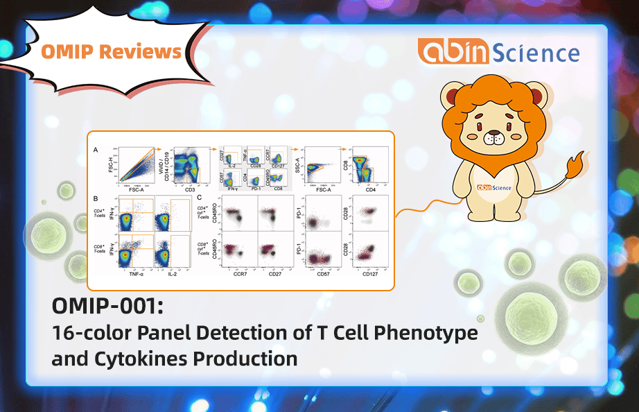 OMIP Reviews | OMIP-001: 16-colour Panel Detection of T Cell Phenotype and Cytokines Production