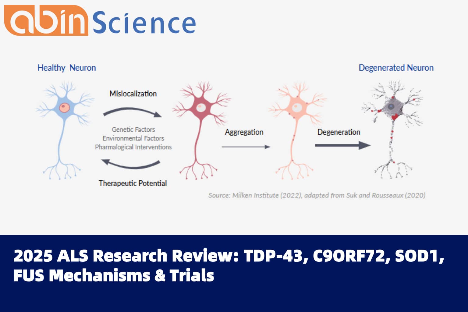 2025 ALS Research Review: TDP-43, C9ORF72, SOD1, FUS Mechanisms & Trials