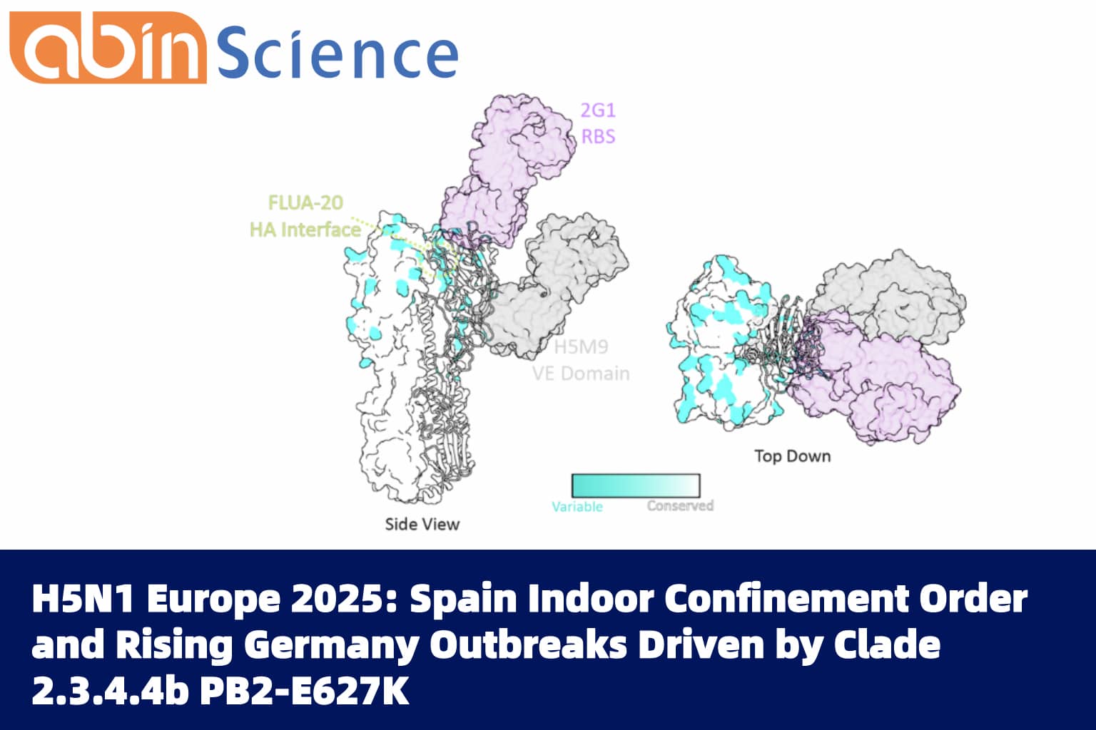 H5N1 Europe 2025: Spain Indoor Confinement Order and Rising Germany Outbreaks Driven by Clade 2.3.4.4b PB2-E627K