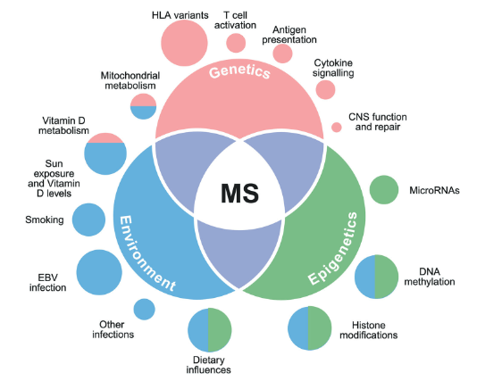 Multiple Sclerosis Integrated Pathway 2025