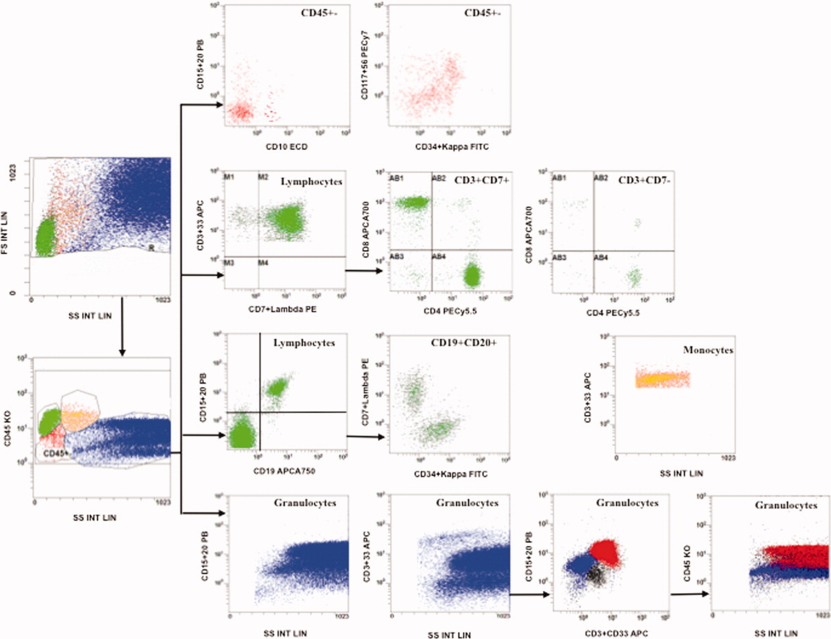 Experimental Results Image