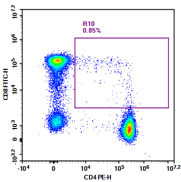 CD4/CD8 T Cell Detection in Human Peripheral Blood