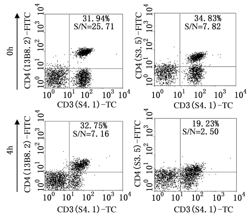 Clone-dependent detection of CD4 following PMA/BFA stimulation for 4 h
