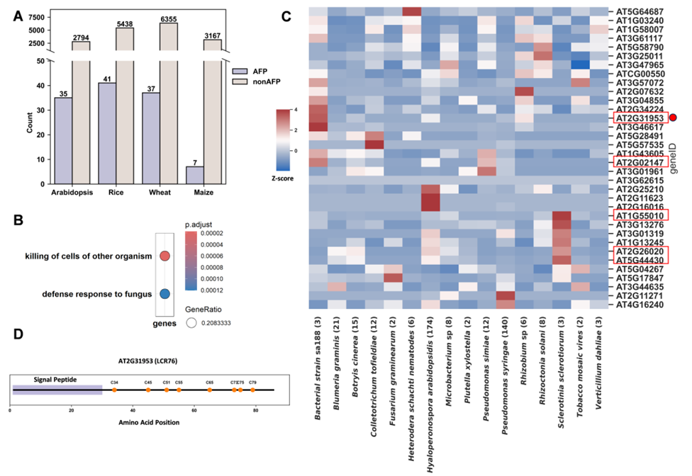 Identification of AFPs from short open reading frames in four plant species using FungiGuard