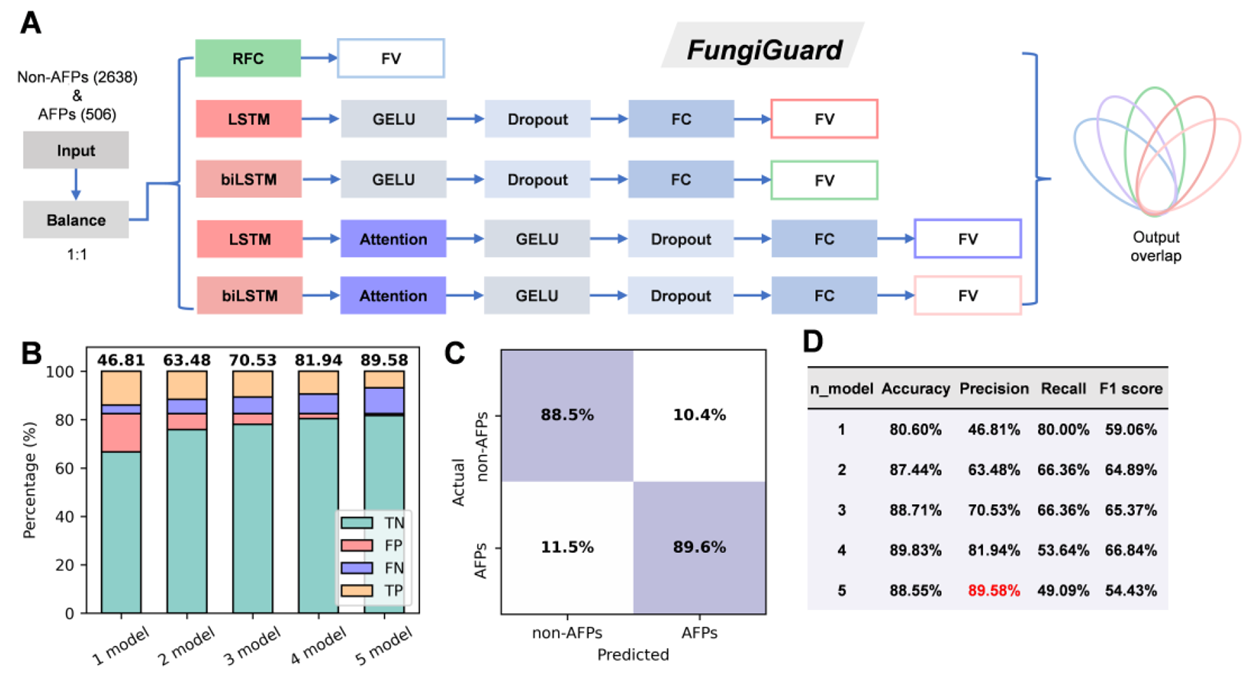 FungiGuard architecture and performance in plant AFP classification