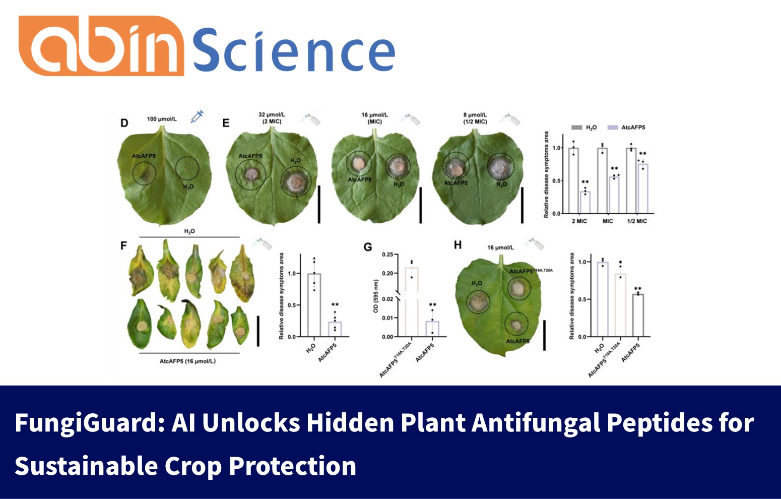FungiGuard: AI Unlocks Hidden Plant Antifungal Peptides for Sustainable Crop Protection