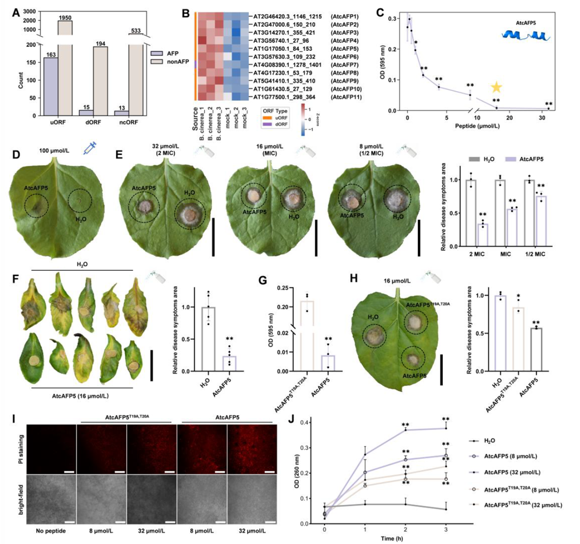 Identification and functional validation of Arabidopsis non-canonical peptides (NCPs) with activity against Botrytis cinerea (gray mold)