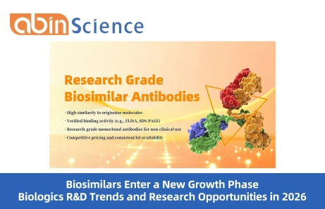 Biosimilars Enter a New Growth Phase: Biologics R&D Trends and Research Opportunities in 2026