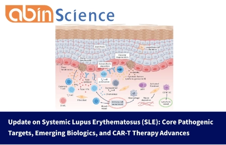 2025 Update on Systemic Lupus Erythematosus (SLE): Core Pathogenic Targets, Emerging Biologics, and CAR-T Therapy Advances