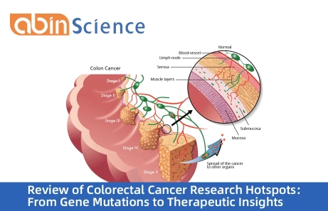 Review of Colorectal Cancer Research Hotspots: From Gene Mutations to Therapeutic Insights
