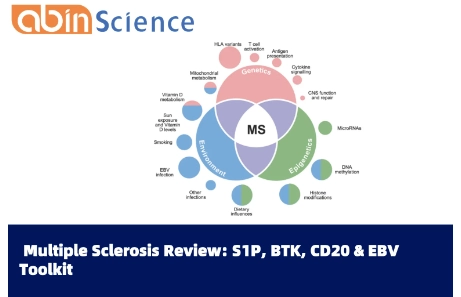 2025 Multiple Sclerosis Review: Mechanism Insights & Essential Research Toolkit