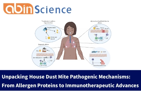 Unpacking House Dust Mite Pathogenic Mechanisms: From Allergen Proteins to Immunotherapeutic Advances