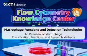 Macrophage Functions and Detection Technologies丨An Overview of Macrophage Classification, Functions, and Research Methods