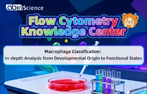 Macrophage Functions and Detection Technologies | Macrophage Classification: In-depth Analysis from Developmental Origin to Functional States