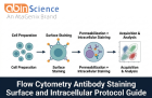 Flow Cytometry Antibody Staining: Surface and Intracellular Protocol Guide