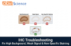 IHC Troubleshooting: How to Fix High Background, Weak Signal, and Non-Specific Staining