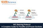 IHC Staining Protocol: A Complete Guide for Paraffin and Frozen Sections
