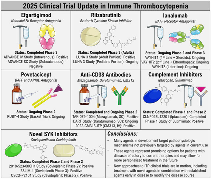 2025 clinical trial updates in immune thrombocytopenia