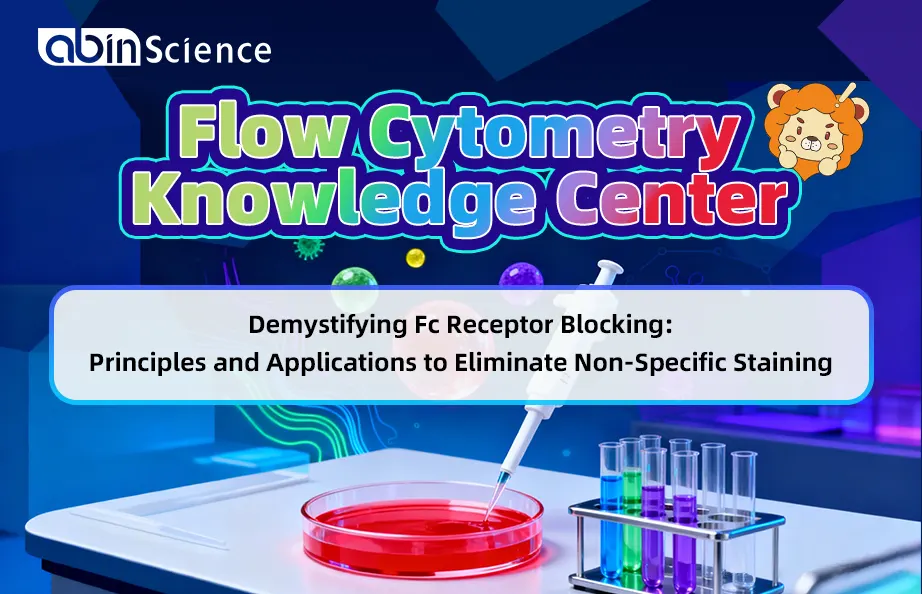 Demystifying Fc Receptor Blocking: Principles and Applications to Eliminate Non-Specific Staining