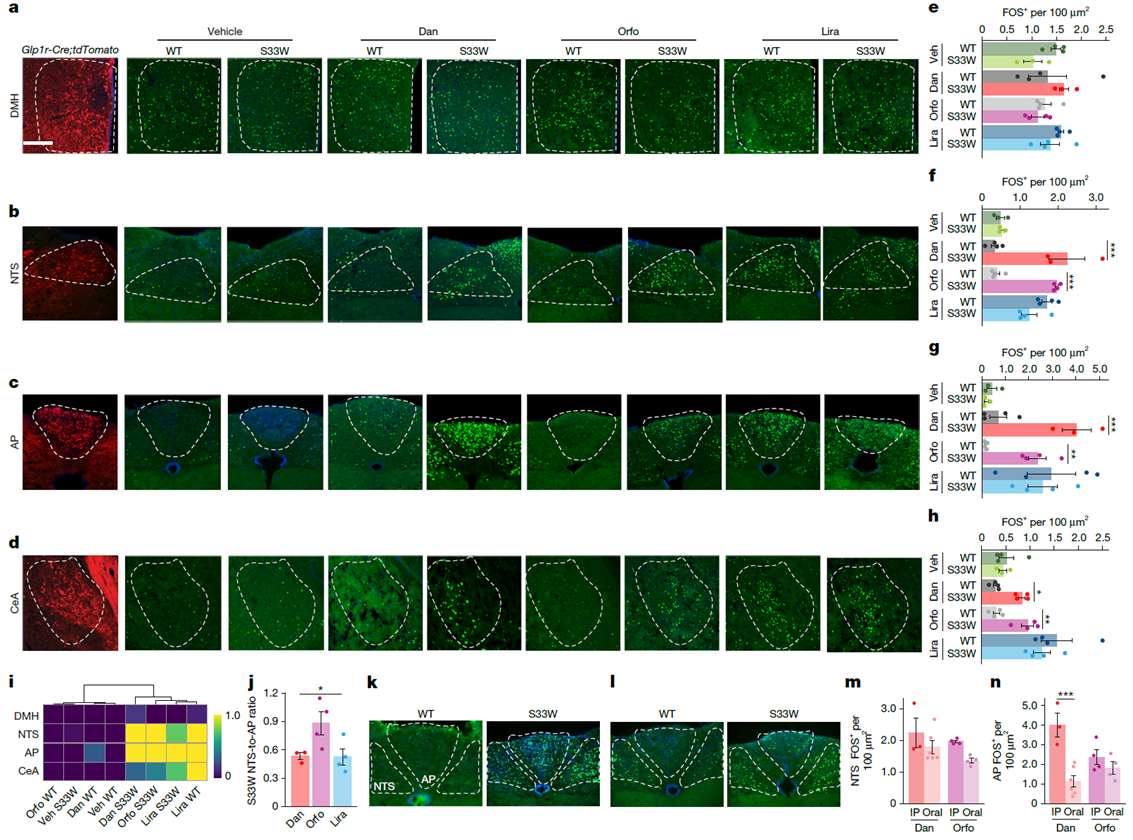 Figure 3. Brain region activation