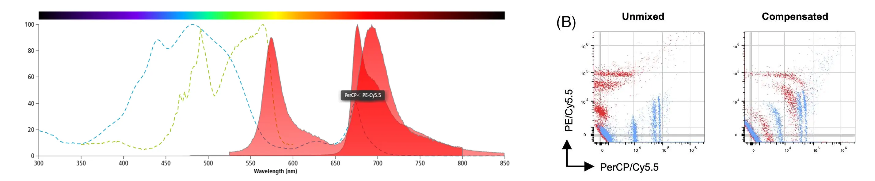 Spectra of PerCP-Cy5.5 and PE-Cy5.5, along with a performance comparison between spectral unmixing and traditional compensation