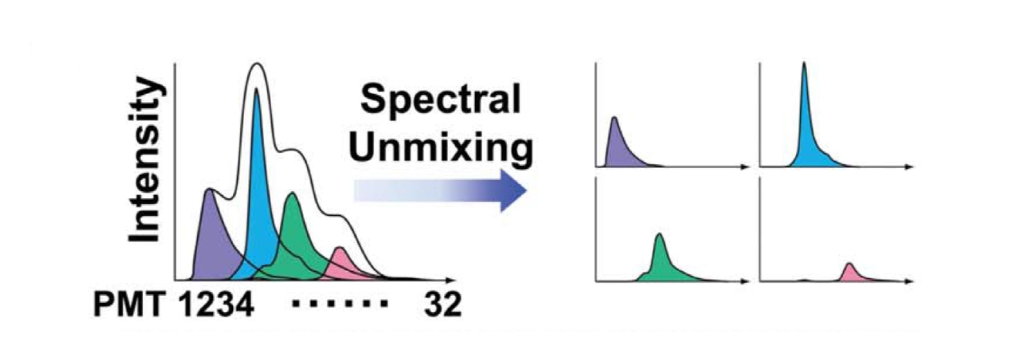 The principle of spectral unmixing