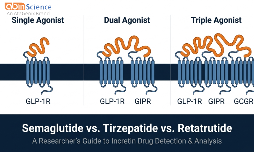 Semaglutide vs. Tirzepatide vs. Retatrutide: A Researcher's Guide to Incretin Drug Detection and Analysis
