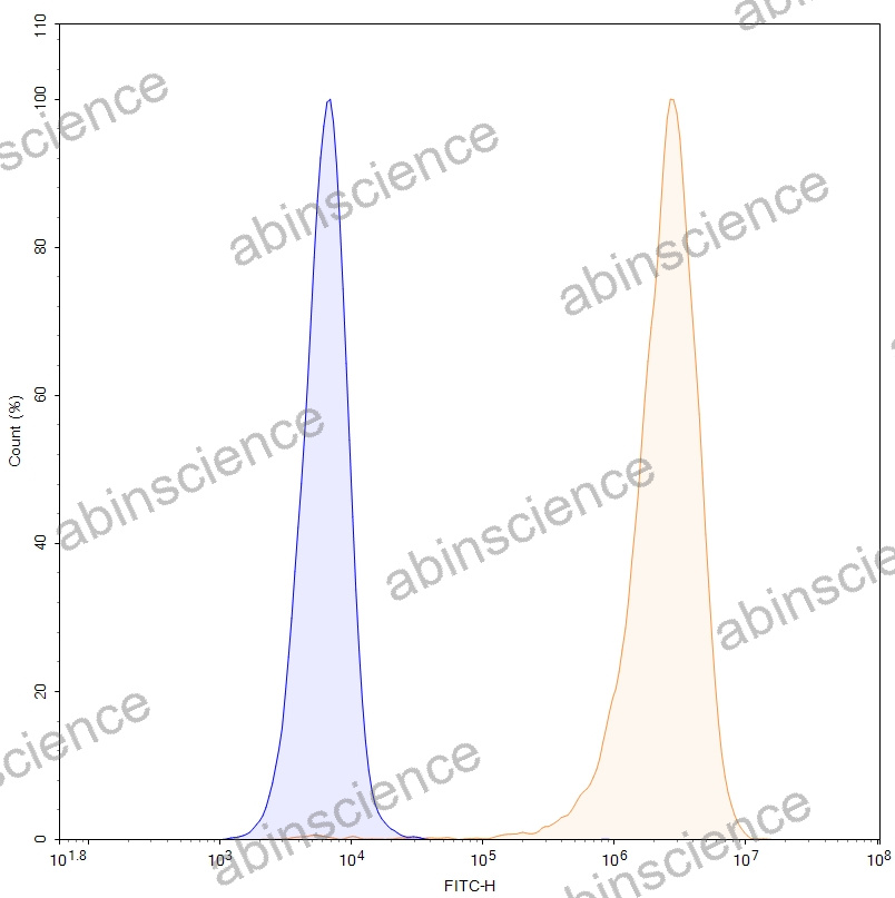 HEK293T Dog CD279/PDCD1/PD1 Stable Cell Line