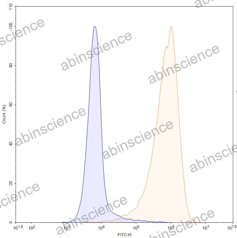 HEK293T Cat CD279/PDCD1/PD1 Stable Cell Line