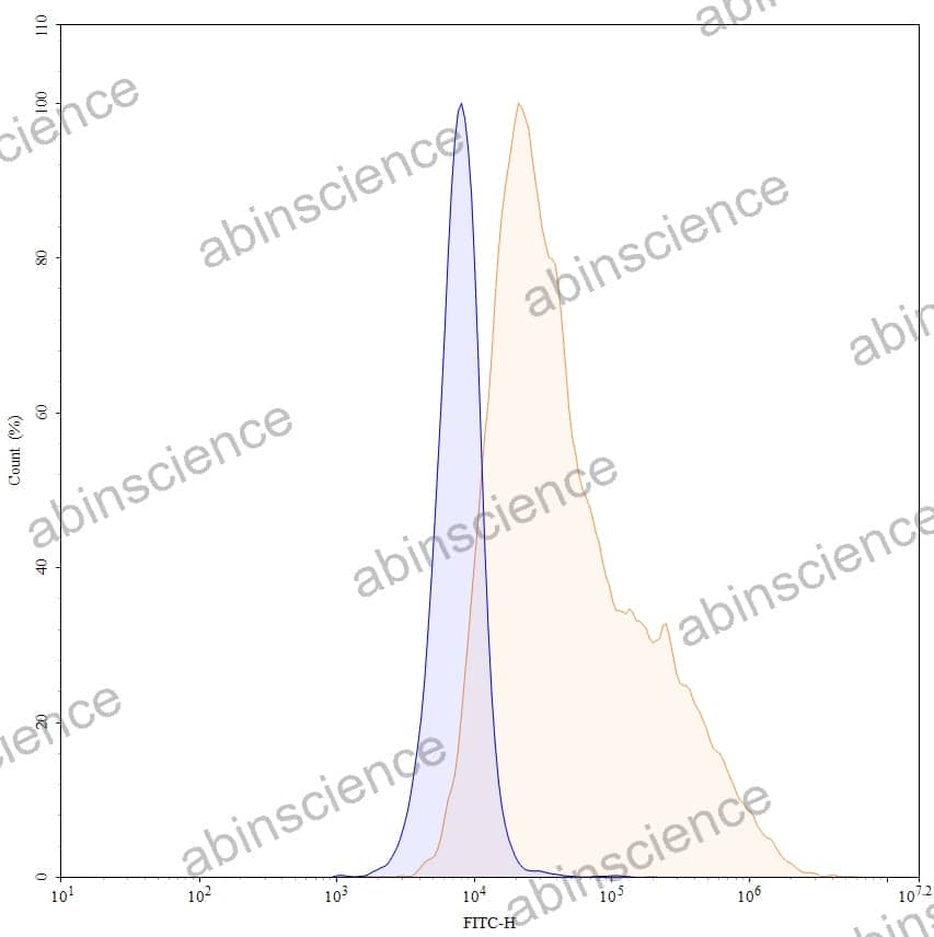 Anti-Human ERBB3/HER3 Antibody (SAA2064)