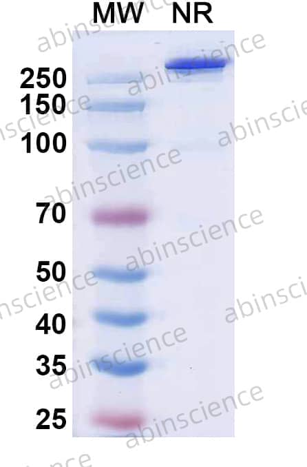 Research Grade Palverafusp Alfa