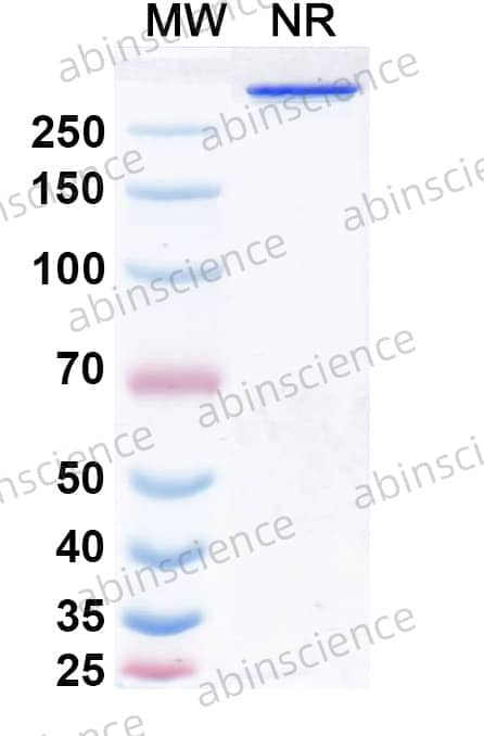 Research Grade Fanastomig
