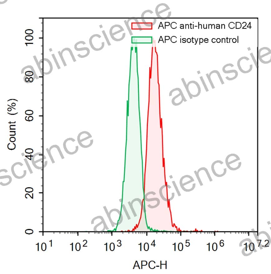 Anti-Human CD24 Antibody (SAA2212), APC
