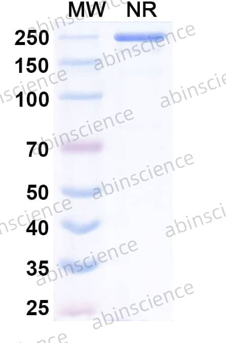 Research Grade Evalstotug