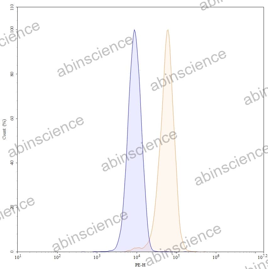 Anti-Human CD40/TNFRSF5 Antibody (SAA0014), PE