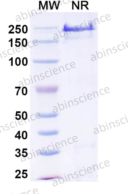 Research Grade Abiprubart
