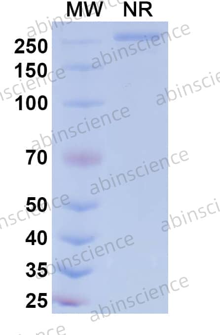 Research Grade Patecibart