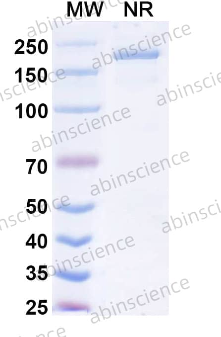 Research Grade Opugotamig