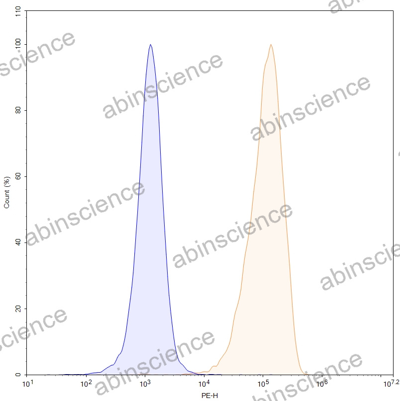 HEK293T Human FOLR1 Stable Cell Line