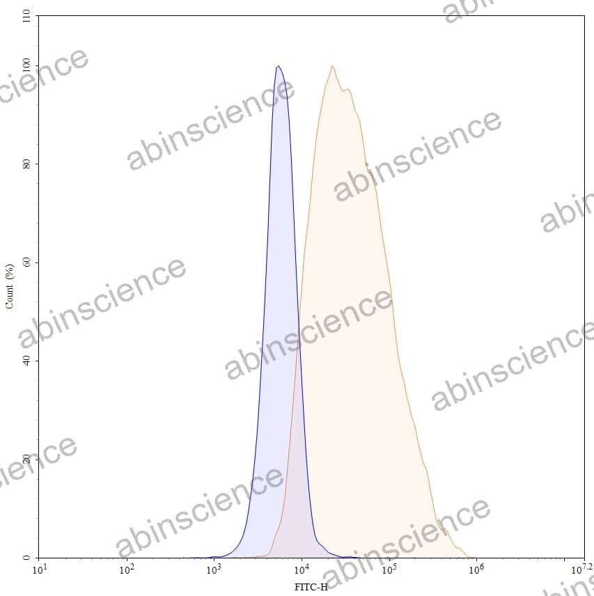 Anti-Human CD52 Antibody (SAA0023), FITC