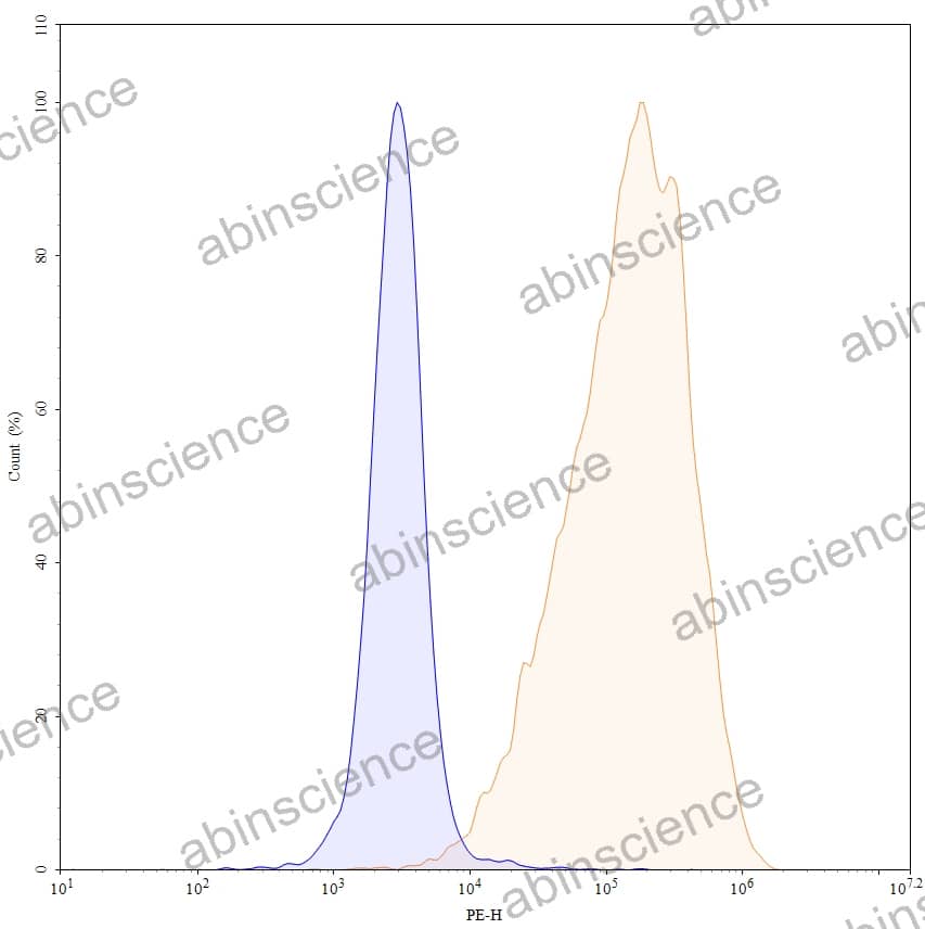 Anti-Human CD52 Antibody (SAA0023), PE